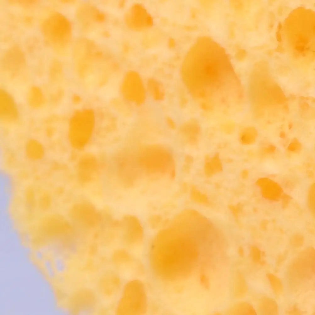 50 Pcs Face Cleaning Sponge